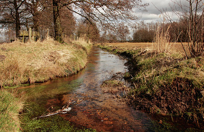 BUITEN BEELD Foto: 88751