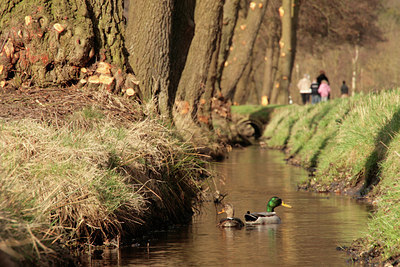 BUITEN BEELD Foto: 88776