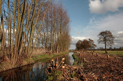 BUITEN BEELD Foto: 88780