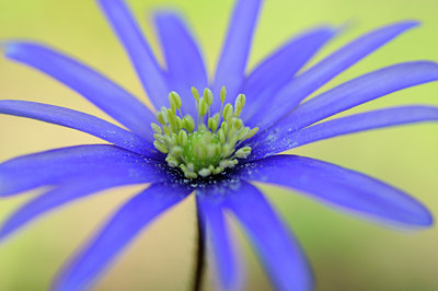 BUITEN BEELD Foto: 88806