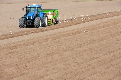 BUITEN BEELD Foto: 88863
