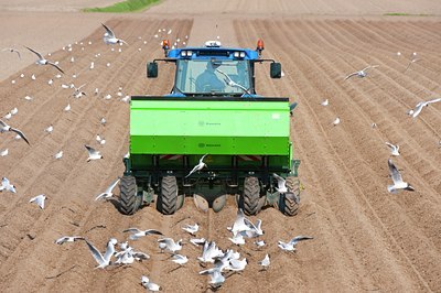 BUITEN BEELD Foto: 88865