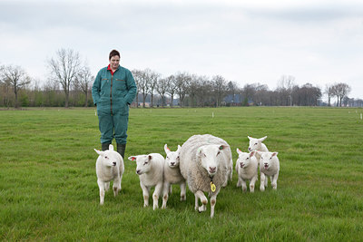 BUITEN BEELD Foto: 88913