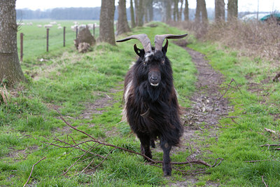 BUITEN BEELD Foto: 88914