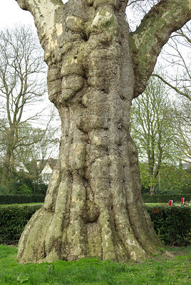 BUITEN BEELD Foto: 88930