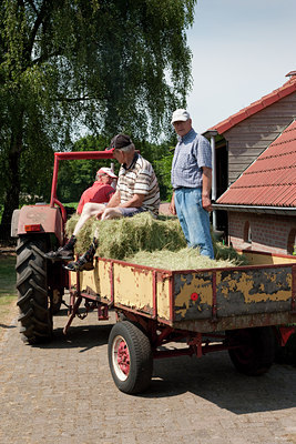 BUITEN BEELD Foto: 88937