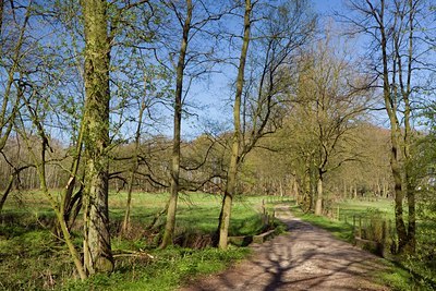 BUITEN BEELD Foto: 88939