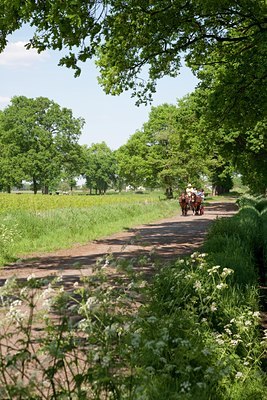 BUITEN BEELD Foto: 88955