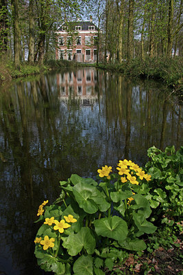 BUITEN BEELD Foto: 88956