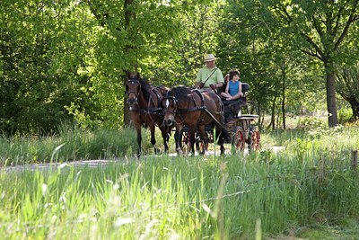 BUITEN BEELD Foto: 88960