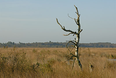 BUITEN BEELD Foto: 8045