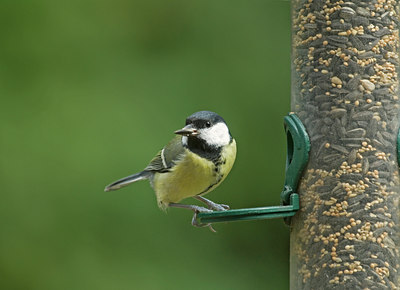 BUITEN BEELD Foto: 8185