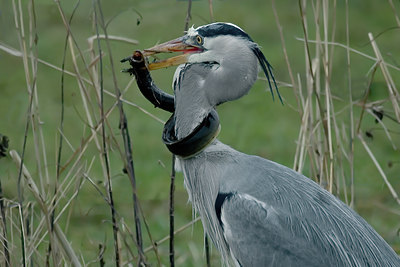 BUITEN BEELD Foto: 8192