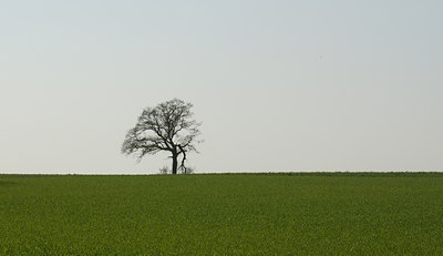 BUITEN BEELD Foto: 8203