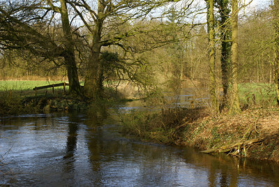 BUITEN BEELD Foto: 8206