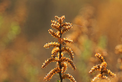 BUITEN BEELD Foto: 8209