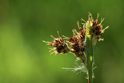 BUITEN BEELD Foto: 8226