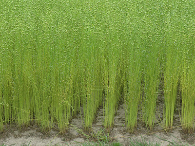 BUITEN BEELD Foto: 8259