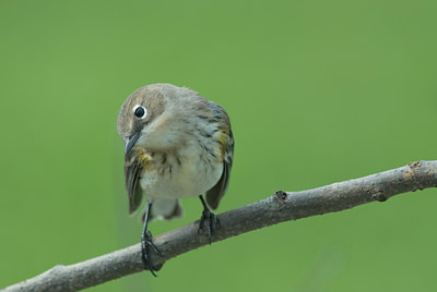 BUITEN BEELD Foto: 8290