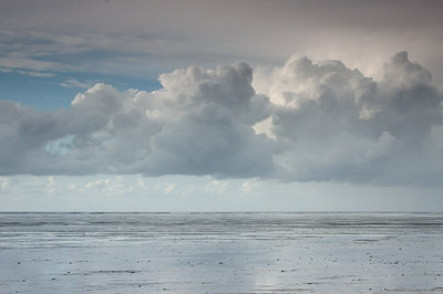 BUITEN BEELD Foto: 8312
