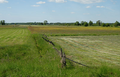 BUITEN BEELD Foto: 8369