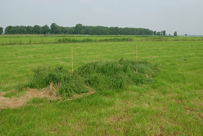 BUITEN BEELD Foto: 8371
