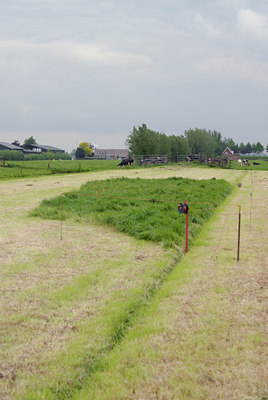 BUITEN BEELD Foto: 8376