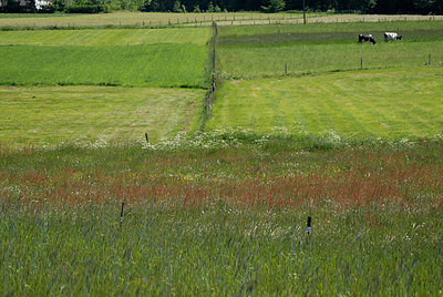 BUITEN BEELD Foto: 8379