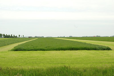 BUITEN BEELD Foto: 8381