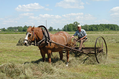 BUITEN BEELD Foto: 8402