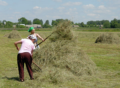 BUITEN BEELD Foto: 8404