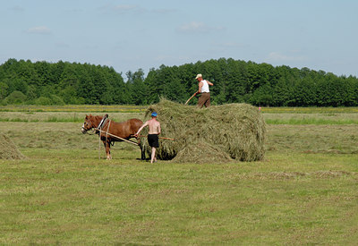 BUITEN BEELD Foto: 8406