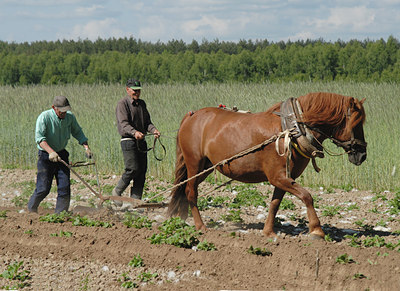 BUITEN BEELD Foto: 8409