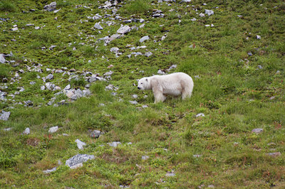 BUITEN BEELD Foto: 8418