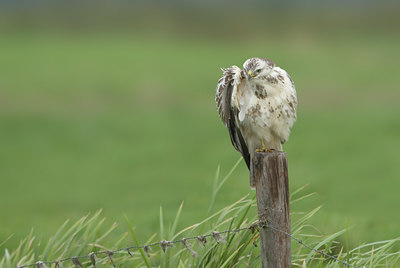 BUITEN BEELD Foto: 8437