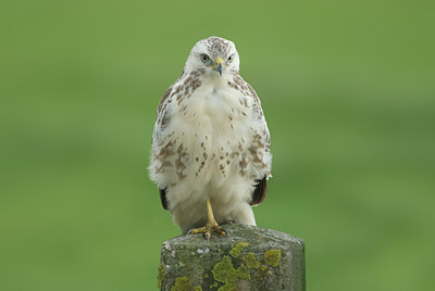 BUITEN BEELD Foto: 8442