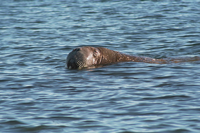 BUITEN BEELD Foto: 8470