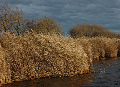 BUITEN BEELD Foto: 8592