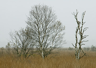 BUITEN BEELD Foto: 8654