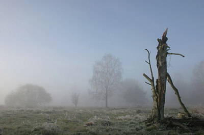 BUITEN BEELD Foto: 8671
