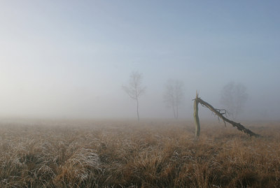 BUITEN BEELD Foto: 8675