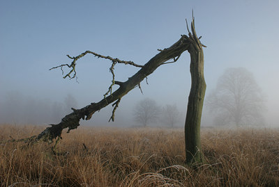 BUITEN BEELD Foto: 8676