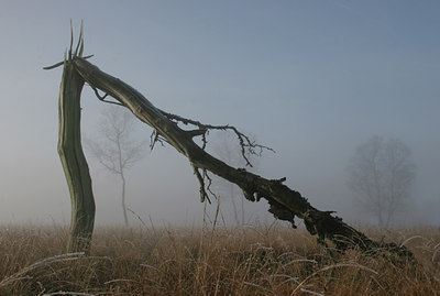 BUITEN BEELD Foto: 8677
