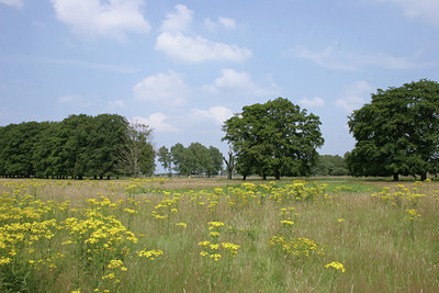 BUITEN BEELD Foto: 8691