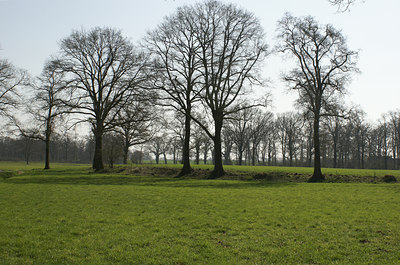 BUITEN BEELD Foto: 8707