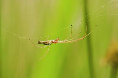 BUITEN BEELD Foto: 8784