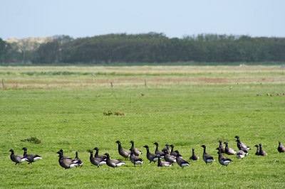 BUITEN BEELD Foto: 8791