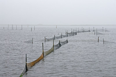 BUITEN BEELD Foto: 8914