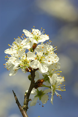BUITEN BEELD Foto: 89029