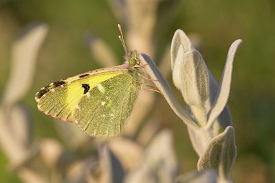 BUITEN BEELD Foto: 89063